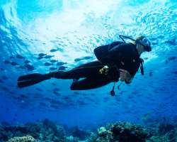 The island is suitable for scuba diving. Don't miss the fun of your visit to the island.